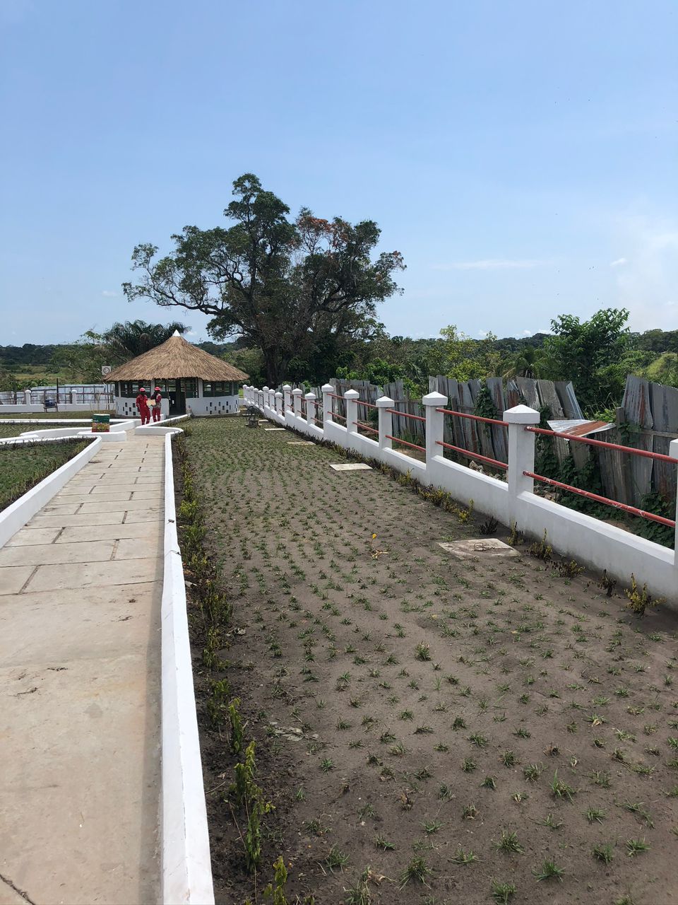 lorem ipsum dolor sit